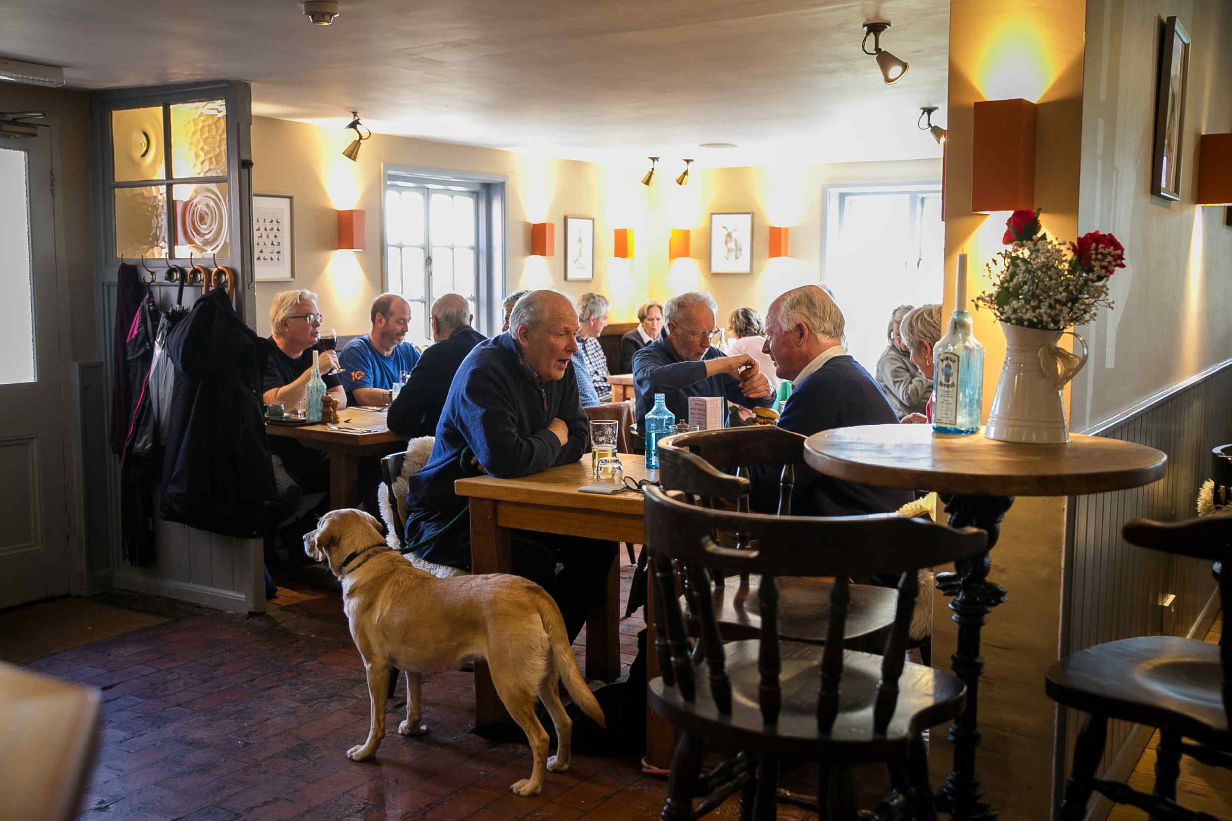 Dog Friendly photograph